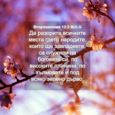 Picture 04 - Второзаконие 12:2 BULG - Да разорите всичките места - Bible Verse Picture