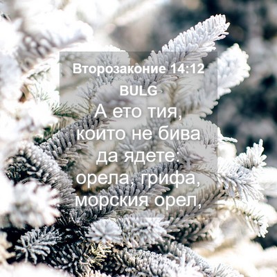 Picture 04 - Второзаконие 14:12 BULG - А ето тия, които не бива да - Bible Verse Picture