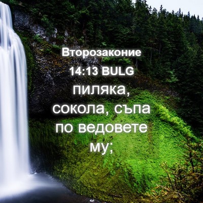 Picture 04 - Второзаконие 14:13 BULG - пиляка, сокола, съпа по - Bible Verse Picture