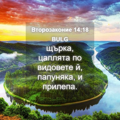 Picture 04 - Второзаконие 14:18 BULG - щърка, цаплята по видовете - Bible Verse Picture