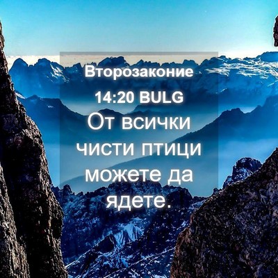 Picture 04 - Второзаконие 14:20 BULG - От всички чисти птици - Bible Verse Picture