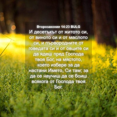 Picture 04 - Второзаконие 14:23 BULG - И десетъкът от житото си, - Bible Verse Picture