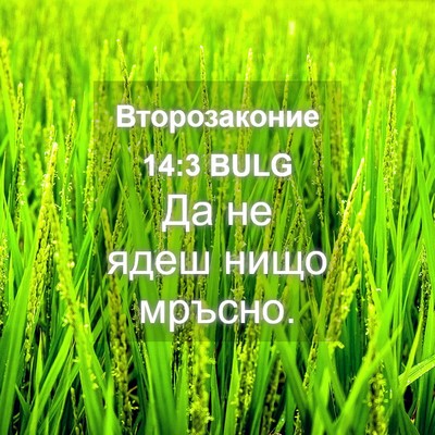 Picture 04 - Второзаконие 14:3 BULG - Да не ядеш нищо - Bible Verse Picture