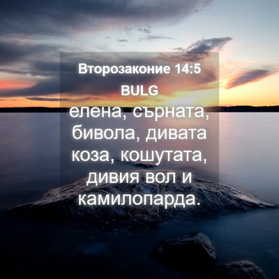 Picture 04 - Второзаконие 14:5 BULG - елена, сърната, бивола, - Bible Verse Picture
