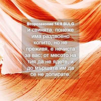Picture 04 - Второзаконие 14:8 BULG - и свинята, понеже има - Bible Verse Picture