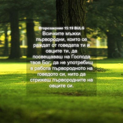 Picture 04 - Второзаконие 15:19 BULG - Всичките мъжки първородни, - Bible Verse Picture