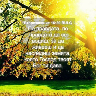 Picture 04 - Второзаконие 16:20 BULG - По правдата, по правдата да - Bible Verse Picture