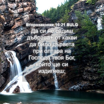 Picture 04 - Второзаконие 16:21 BULG - Да си не садиш дъбрава+ от - Bible Verse Picture