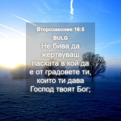 Picture 04 - Второзаконие 16:5 BULG - Не бива да жертвуваш - Bible Verse Picture
