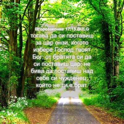 Picture 04 - Второзаконие 17:15 BULG - тогава да си поставиш за - Bible Verse Picture