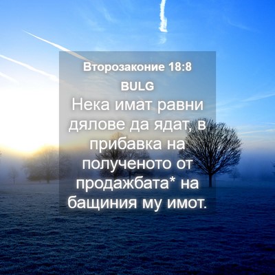 Picture 04 - Второзаконие 18:8 BULG - Нека имат равни дялове да - Bible Verse Picture