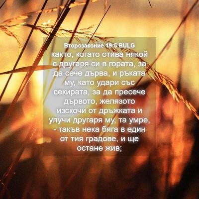 Picture 04 - Второзаконие 19:5 BULG - както, когато отива някой с - Bible Verse Picture