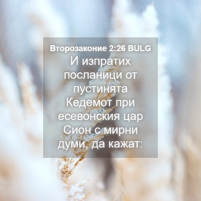 Picture 04 - Второзаконие 2:26 BULG - И изпратих посланици от - Bible Verse Picture