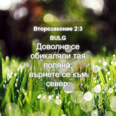 Picture 04 - Второзаконие 2:3 BULG - Доволно се обикаляли тая - Bible Verse Picture