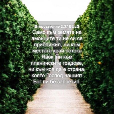 Picture 04 - Второзаконие 2:37 BULG - Само към земята на - Bible Verse Picture