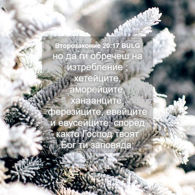 Picture 04 - Второзаконие 20:17 BULG - но да ги обречеш на - Bible Verse Picture