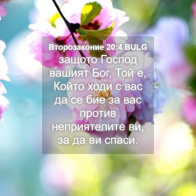 Picture 04 - Второзаконие 20:4 BULG - защото Господ вашият Бог, - Bible Verse Picture