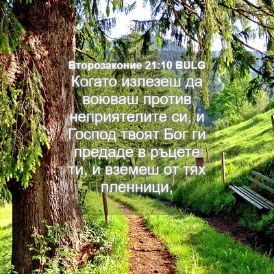 Picture 04 - Второзаконие 21:10 BULG - Когато излезеш да воюваш - Bible Verse Picture