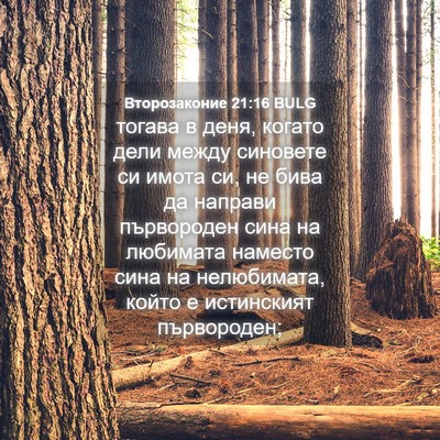 Picture 04 - Второзаконие 21:16 BULG - тогава в деня, когато дели - Bible Verse Picture