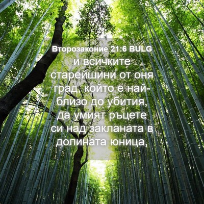 Picture 04 - Второзаконие 21:6 BULG - и всичките старейшини от - Bible Verse Picture