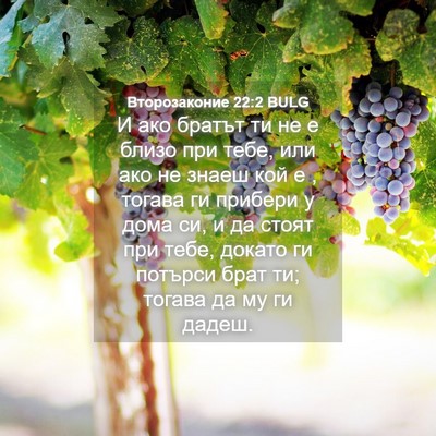 Picture 04 - Второзаконие 22:2 BULG - И ако братът ти не е близо - Bible Verse Picture