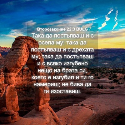 Picture 04 - Второзаконие 22:3 BULG - Така да постъпваш и с осела - Bible Verse Picture