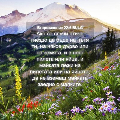 Picture 04 - Второзаконие 22:6 BULG - Ако се случи птиче гнездо - Bible Verse Picture