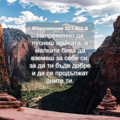 Picture 04 - Второзаконие 22:7 BULG - Непременно да пуснеш - Bible Verse Picture