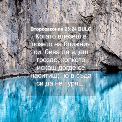 Picture 04 - Второзаконие 23:24 BULG - Когато влезеш в лозето на - Bible Verse Picture
