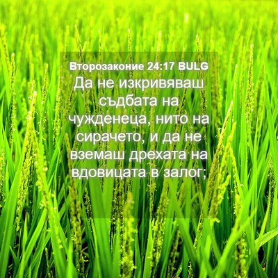 Picture 04 - Второзаконие 24:17 BULG - Да не изкривяваш съдбата - Bible Verse Picture