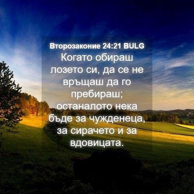 Picture 04 - Второзаконие 24:21 BULG - Когато обираш лозето си, да - Bible Verse Picture