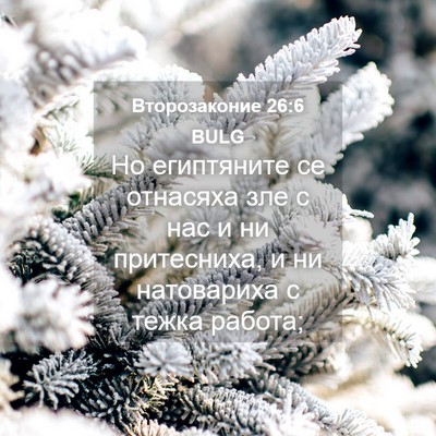 Picture 04 - Второзаконие 26:6 BULG - Но египтяните се отнасяха - Bible Verse Picture