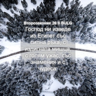 Picture 04 - Второзаконие 26:8 BULG - Господ ни изведе из Египет - Bible Verse Picture