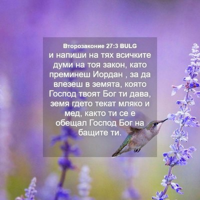 Picture 04 - Второзаконие 27:3 BULG - и напиши на тях всичките - Bible Verse Picture