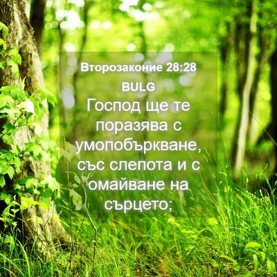 Picture 04 - Второзаконие 28:28 BULG - Господ ще те поразява с - Bible Verse Picture