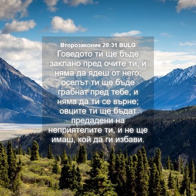 Picture 04 - Второзаконие 28:31 BULG - Говедото ти ще бъде - Bible Verse Picture