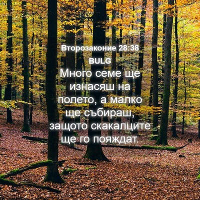 Picture 04 - Второзаконие 28:38 BULG - Много семе ще изнасяш на - Bible Verse Picture