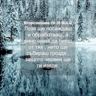 Picture 04 - Второзаконие 28:39 BULG - Лозя ще посаждаш и - Bible Verse Picture