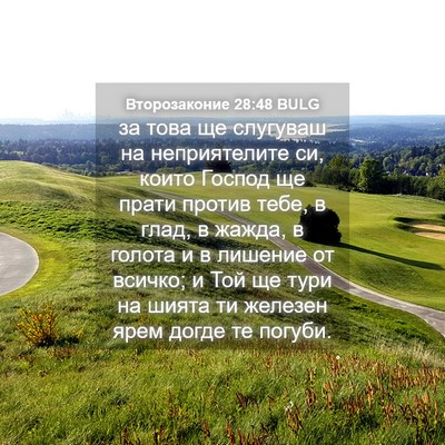 Picture 04 - Второзаконие 28:48 BULG - за това ще слугуваш на - Bible Verse Picture