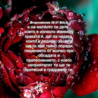 Picture 04 - Второзаконие 28:57 BULG - и на малкото си дете , което - Bible Verse Picture
