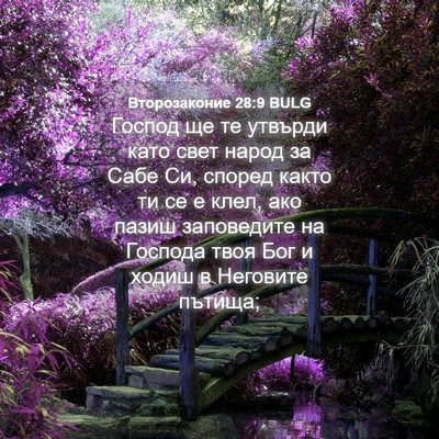 Picture 04 - Второзаконие 28:9 BULG - Господ ще те утвърди като - Bible Verse Picture