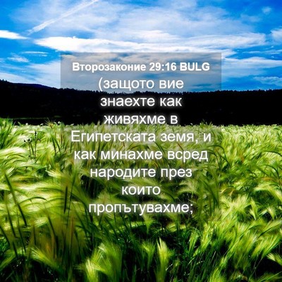 Picture 04 - Второзаконие 29:16 BULG - (защото вие знаехте как - Bible Verse Picture