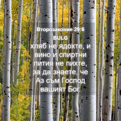 Picture 04 - Второзаконие 29:6 BULG - хляб не ядохте, и вино и - Bible Verse Picture