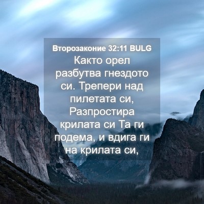 Picture 04 - Второзаконие 32:11 BULG - Както орел разбутва - Bible Verse Picture