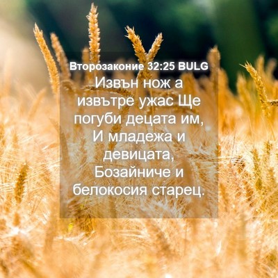Picture 04 - Второзаконие 32:25 BULG - Извън нож а извътре ужас Ще - Bible Verse Picture