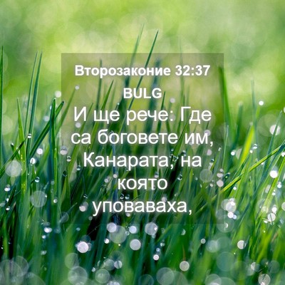 Picture 04 - Второзаконие 32:37 BULG - И ще рече: Где са боговете - Bible Verse Picture