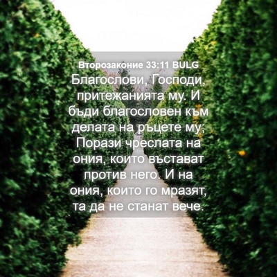 Picture 04 - Второзаконие 33:11 BULG - Благослови, Господи, - Bible Verse Picture