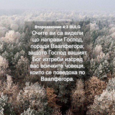 Picture 04 - Второзаконие 4:3 BULG - Очите ви са видели що - Bible Verse Picture