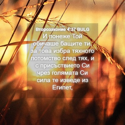 Picture 04 - Второзаконие 4:37 BULG - И понеже Той обичаше - Bible Verse Picture