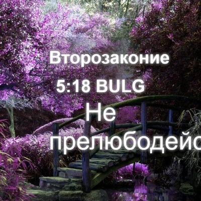 Picture 04 - Второзаконие 5:18 BULG - Не - Bible Verse Picture